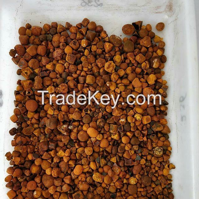 Gallstones Cow Ox Cattle Gallstones