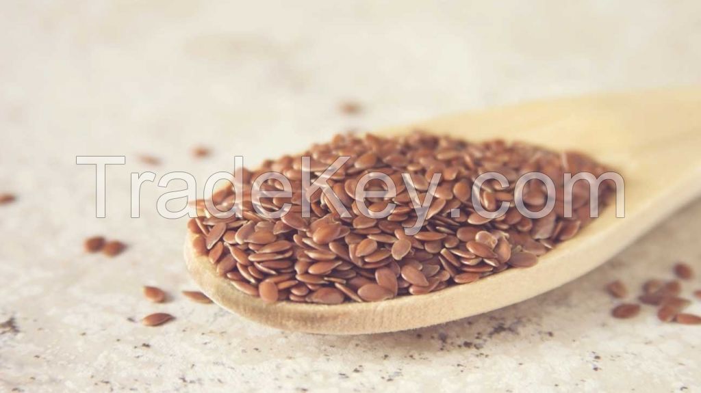 Pumpkin Seeds, Pumpkin Kernels Premium Quality