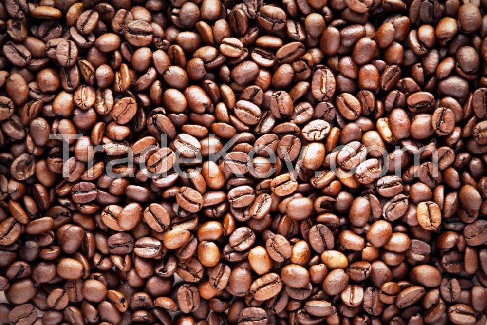 Coffee Beans, Fresh And Dried Coffee Seeds Arabica Robusta Beans