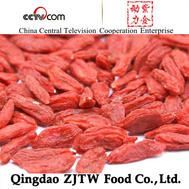 cheap price good quality dried goji berry