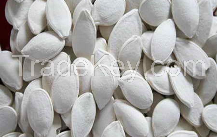 Snow White Pumkin Seed, Gliffonia for Sale