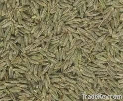 CUMIN SEEDS