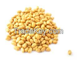 SOYBEANS