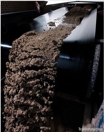 super quality chicken manure dryer with big discount