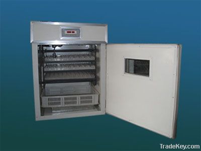 Egg incubator