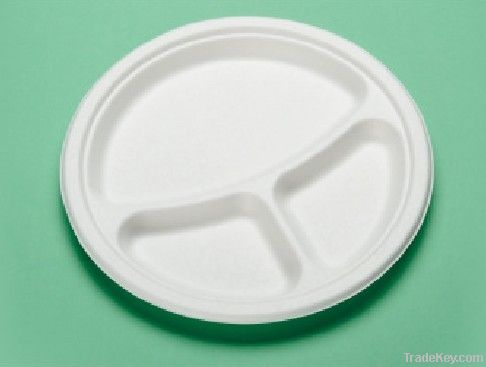 Paper Party Plates