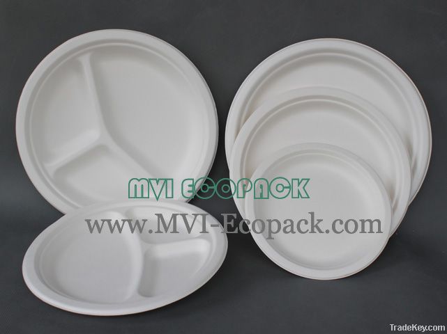 Bagasse Fast Food Plate