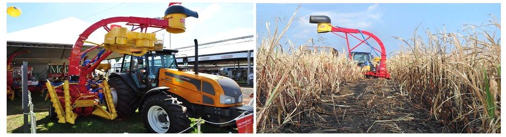 Sugar Cane Harvester