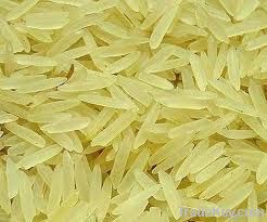 Spain Long Grain Milled Rice