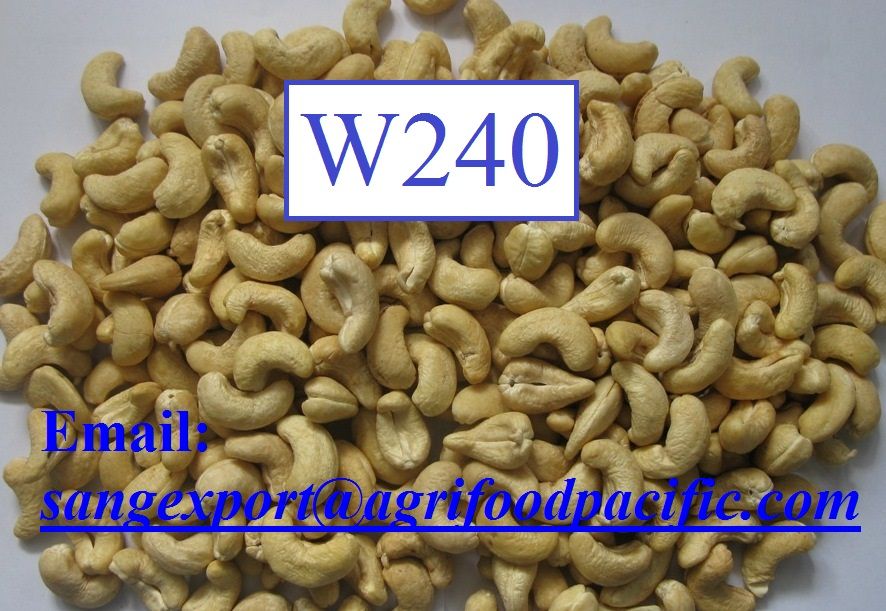 Vietnam Cashew Nuts w240, w320, w450, WS,SW, LBW, LP, SP