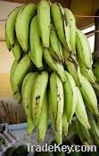 Plantain