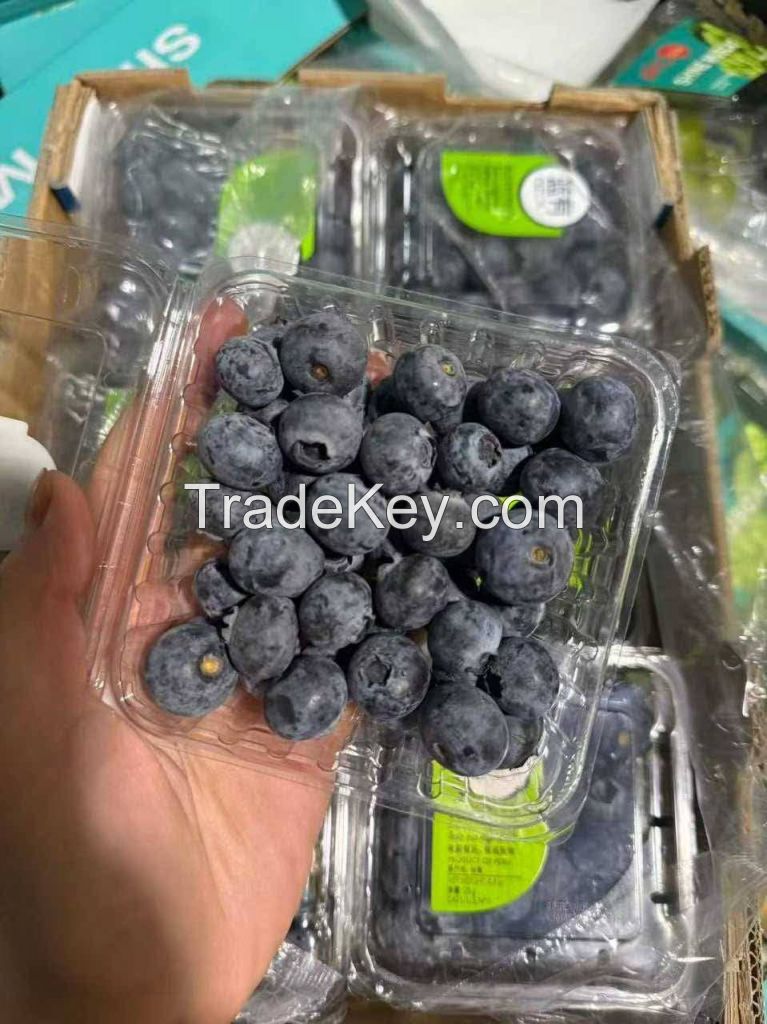 Bluebery South Africa 125g Fresh Blueberries 2025 Blueberies Air Freight Muscat, UAE, Noord Holland
