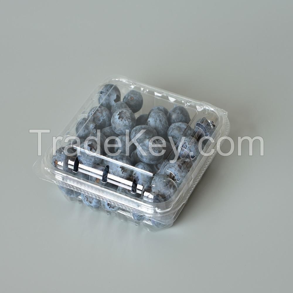 Bluebery South Africa 125g Fresh Blueberries 2025 Blueberies Air Freight Muscat, UAE, Noord Holland