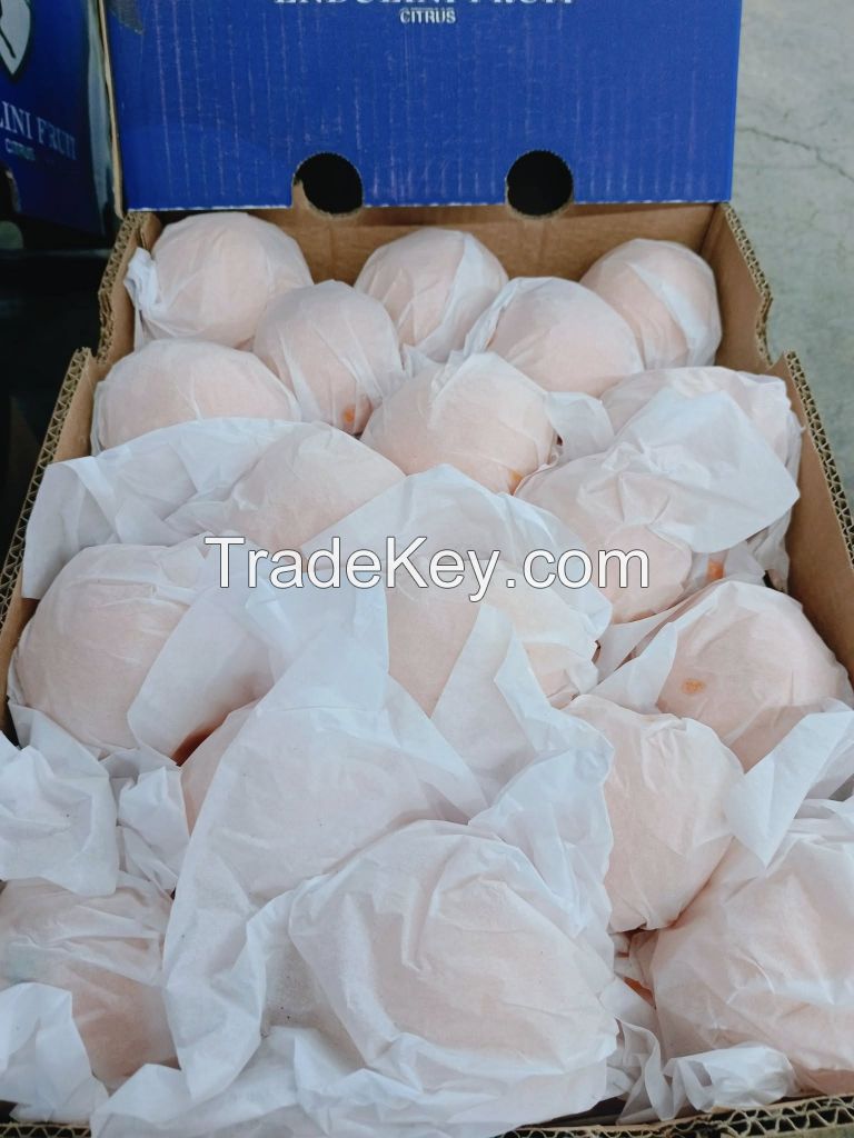 fresh valencia oranges - South Africa peak season