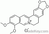 Berberine hydrochloride