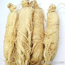 Ginseng Extract Powder