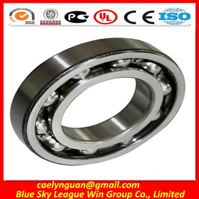 Deep Groove Ball Bearing  6244