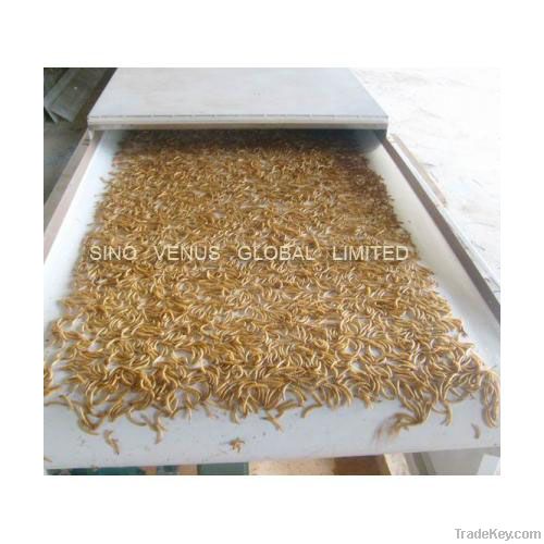 Natural Bird and Fish Food Mealworm