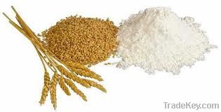 all purpose wheat flour