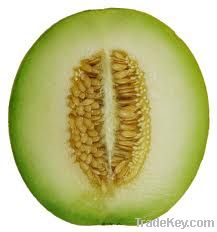 Yellow Melon