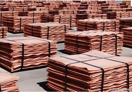 Copper Cathode seller