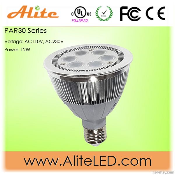 Led spotlight Par30