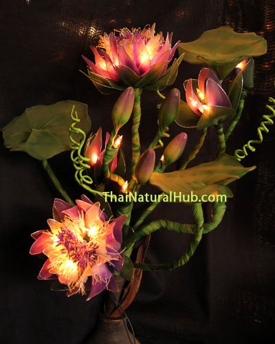 Lighted Lotus Flowers