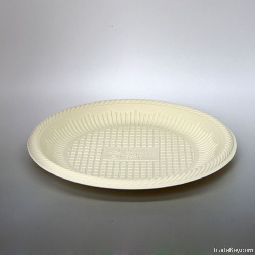 Eco-friendly Disposable tableware