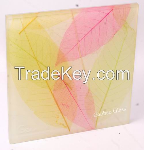 Laminated Glass with Leave