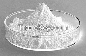 Gypsum Powder