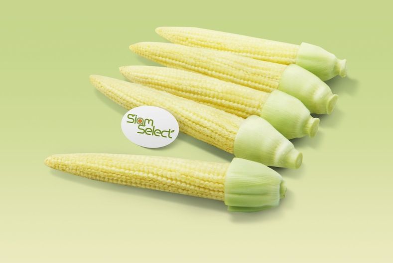 BABY CORN