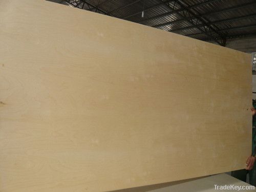 High grade birch plywood