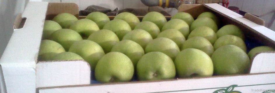 green apple granny smith