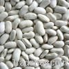 White kidney beans