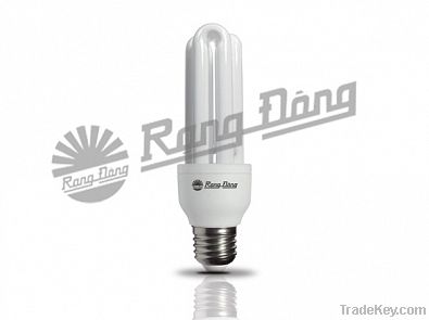 Compact Fluorescent Lamp (CFL Light)