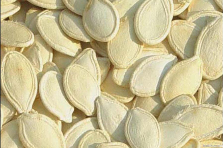 Pumpkin seed