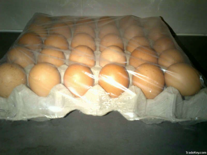 Fresh Eggs