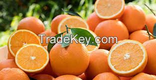 ORANGES, NEVAL, VELENCIA, CELEMENTINE