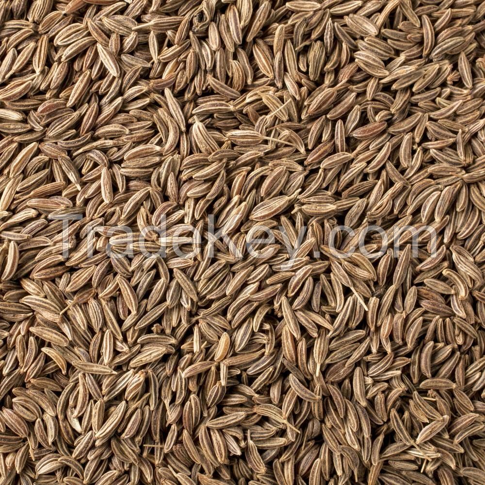 CARAWAY SEEDS