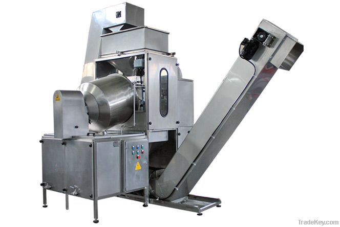 SLT-01 AUTOMATIC SALTING MACHINE