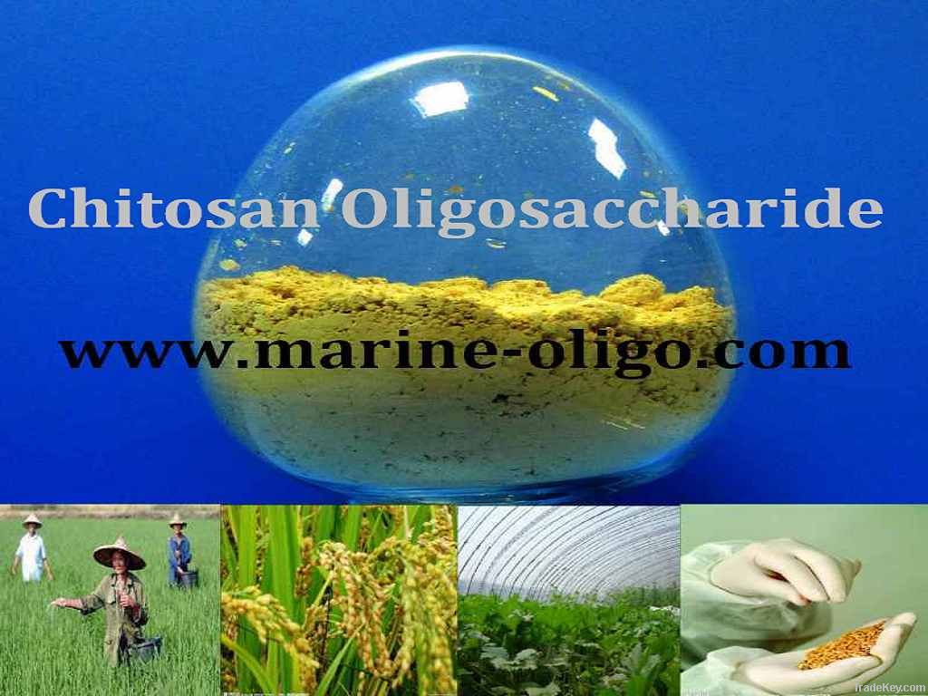 Feed Grade Chitosan Oligosaccharide