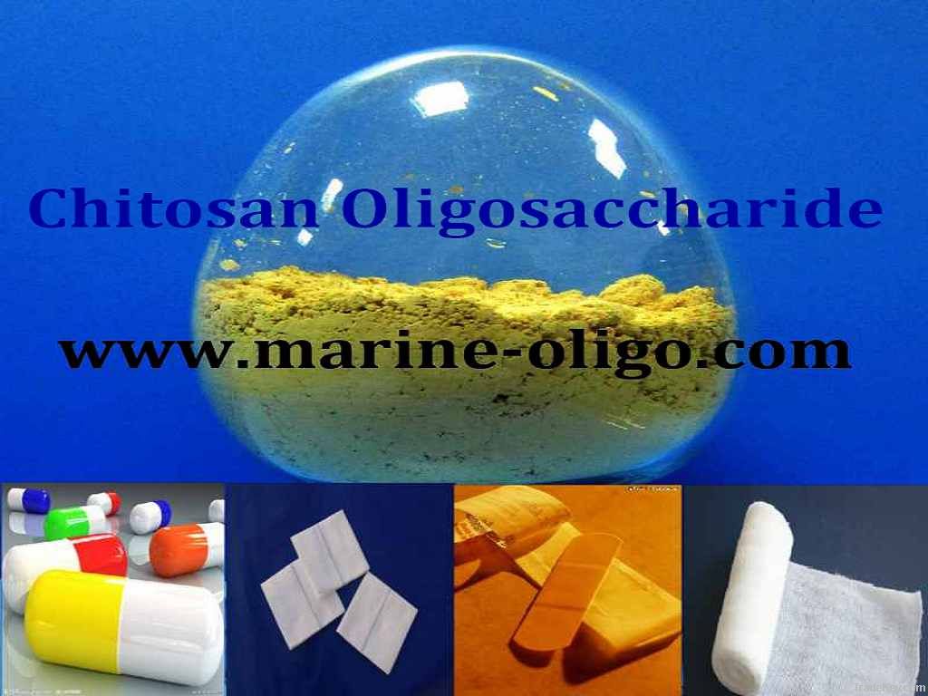 Pharmaceutical Grade Chitosan  Oligosaccharide