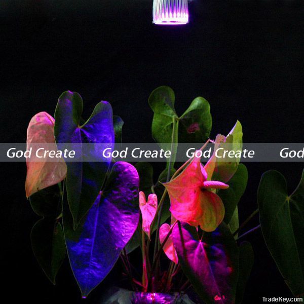 wholesale 10W E27 3red 2Blue LED Grow light for flowering plant and hy