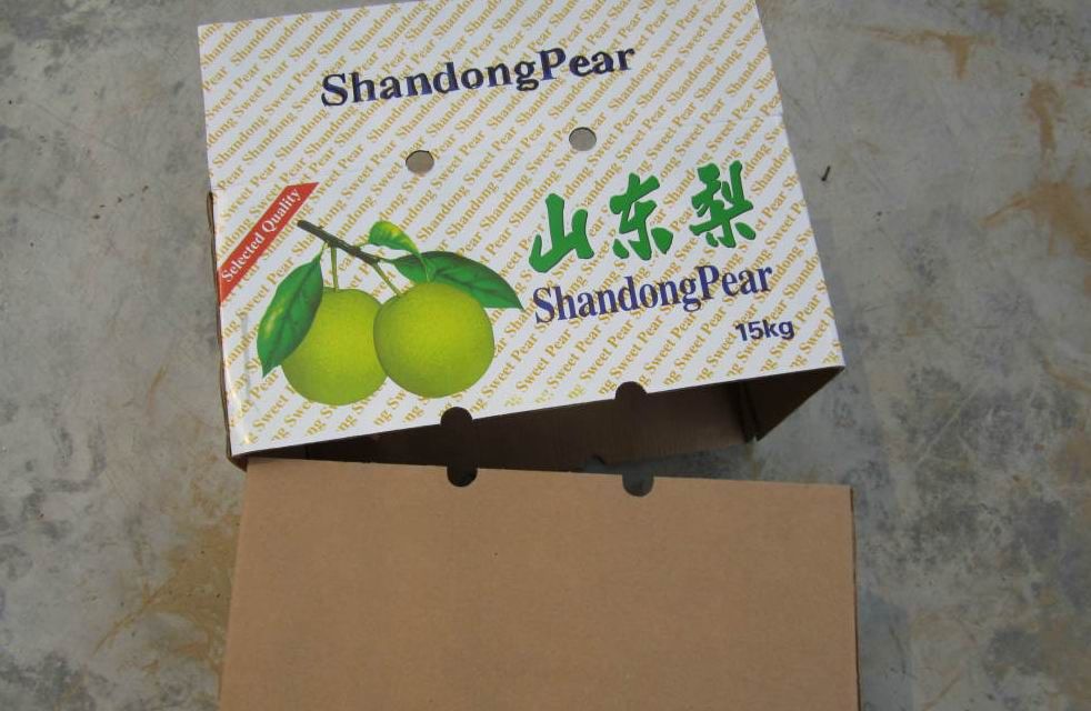 Fresh Shandong Pears