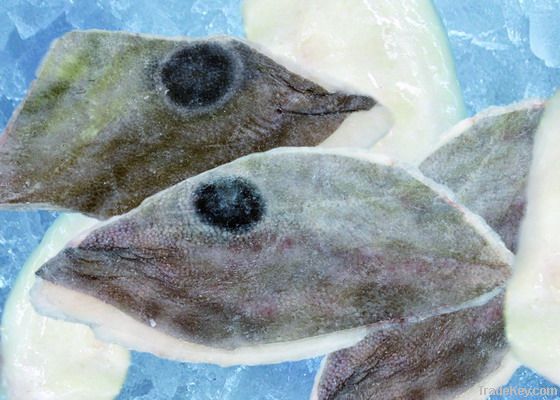 Frozen Fish John Dory fillet