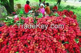 fresh rambutan