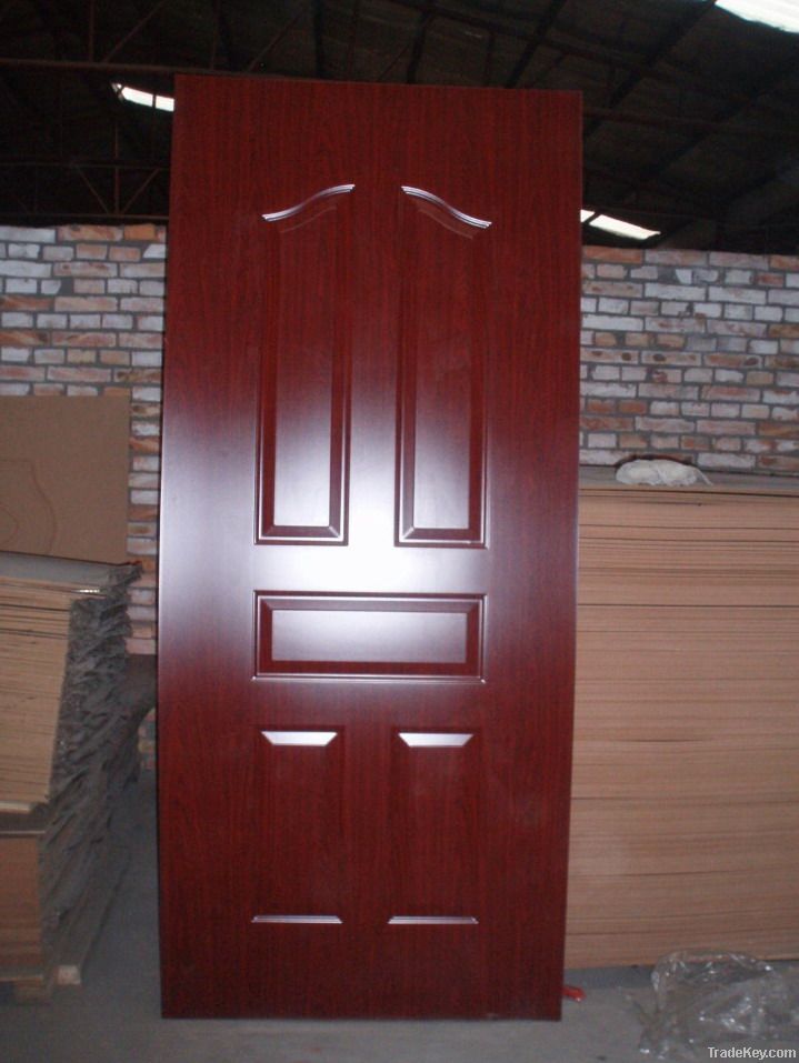 Door skin