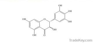 Vine tea extract