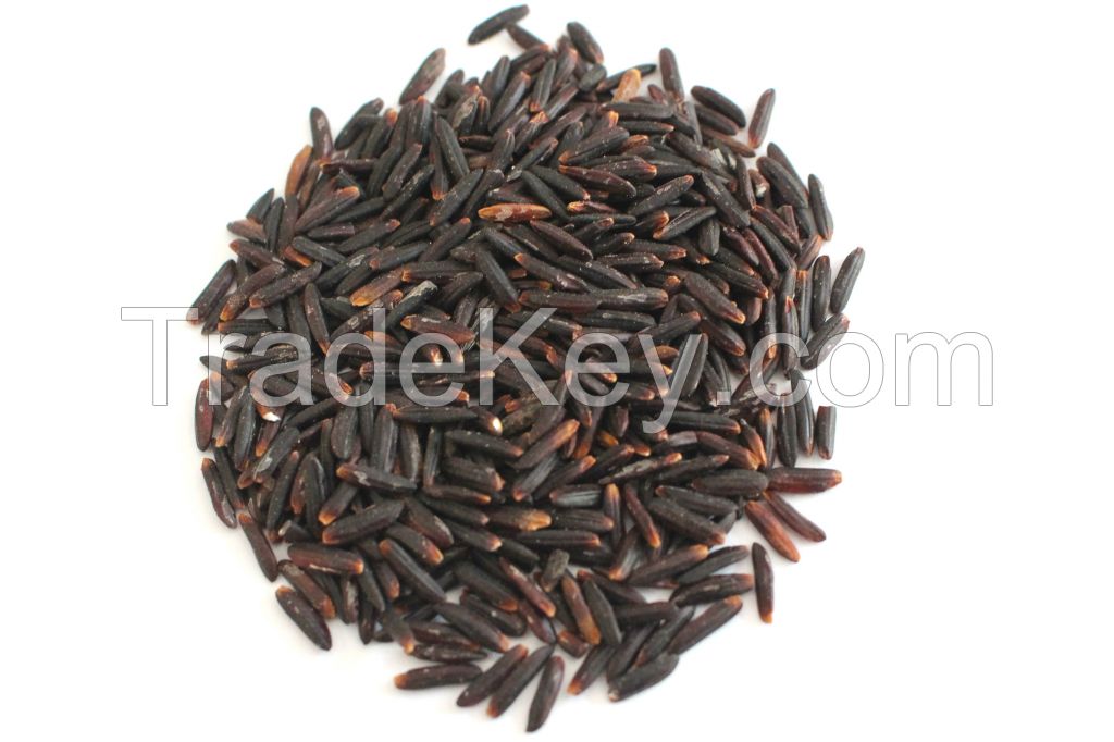 BLACK RICE