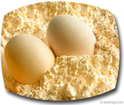 EGG YOLK POWDER 1 kg